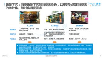 中国网上零售B2C市场年度综合分析（2018年） 综合零售行业回顾